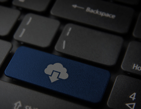 지명원 다운로드